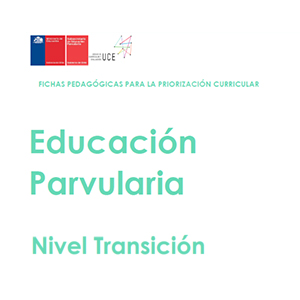 Fichas pedagógicas para la priorización curricular: Identidad y Autonomía  NT - Subsecretaría de Educación Parvularia